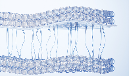 콜라겐 재생 촉진